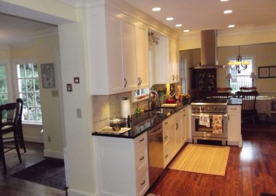 Contemporary Kitchen Remodel